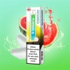 Flerbar M E-Shisha 600 - 20mg/ml - Chewy Watermelon