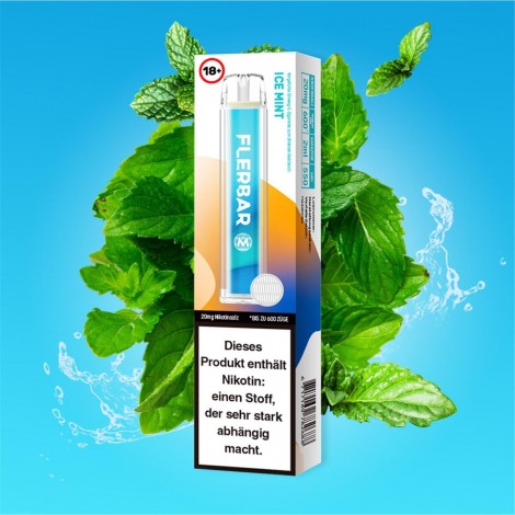 Flerbar M E-Shisha 600 - 20mg/ml - Ice Mint